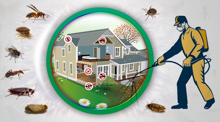 Kale Böcek İlaçlama